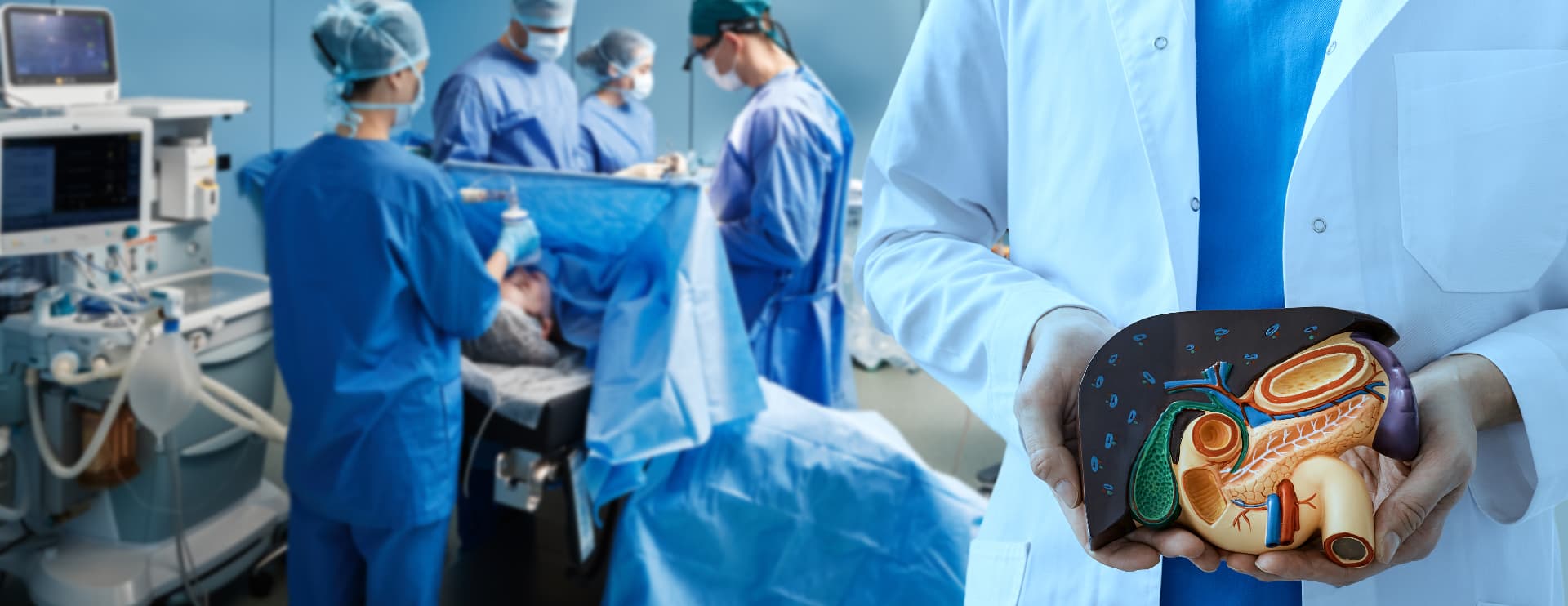 Liver Transplantation - Medical illustration of liver transplant surgery